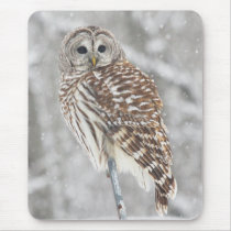 Gehockte Eule - Mousepad