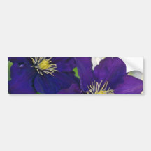 Gelbe Clematis-Blumen-Blumen Autoaufkleber