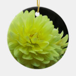 Gelbe Dahlie-Verzierung Weihnachtsbaum Ornament