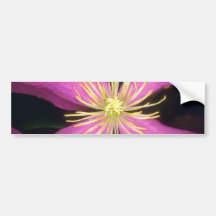 Gelbe drastische Clematis-Blumen Auto Sticker