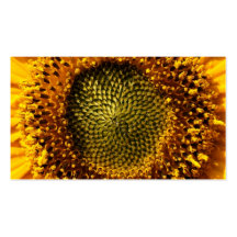 Gelbe Sonnenblume Visitenkarten Vorlagen