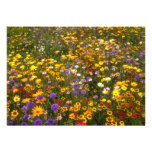 Gelbe Wildblumen-Blumen Individuelle Einladung