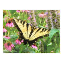 Gelber Frack-Schmetterling im Sommer-Garten Postkarten