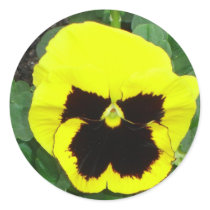 Gelber Pansy-Aufkleber