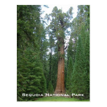 General Sherman Postkarten