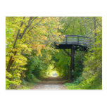 George-St.-Brücke in der Fall-Postkarte