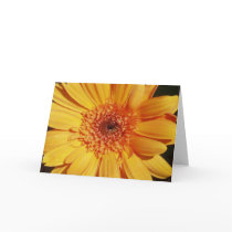 Gerbera-Gruß-Karte