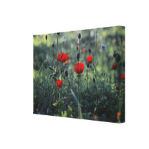 Geschraubte Anemone Leinwand Druck