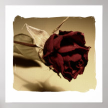 Getrocknete Rosen-Fotografie - Farbe Plakatdrucke