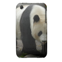giant-panda-10x10 coques iPhone 3 Case-Mate