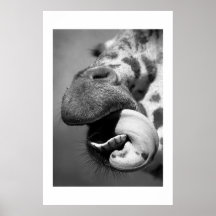 Giraffe#1 Affiche