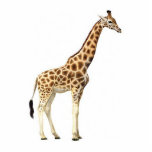 Giraffen-Skulptur