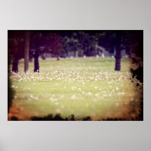 Gisement de ressort posters