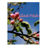 Glad Påsk Postkarte