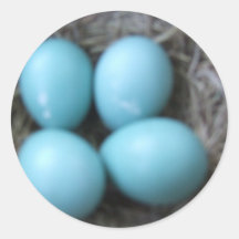 Glückliche Frühlings-Rotkehlchen-blaue Eier im Nes Runder Aufkleber