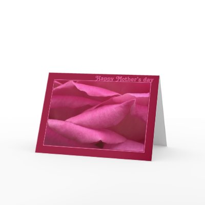 Glückliche Rosa-Rosen der Mutter Tages von Rainmountain
