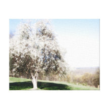 Glühende Baum redigierte Fotografie 11x14 des Lein Gespannter Galeriedruck