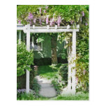 Glyzinie-Lauben-Garten-Postkarte