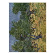 Gogh, technique 1889 de Vincent van Olivenhain ? l Cartes Postales