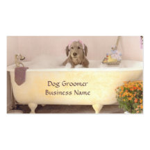 Golden retriever dans le carte de visite de Groome
