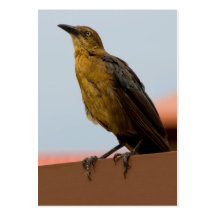 Goldene Vogel-Visitenkarten