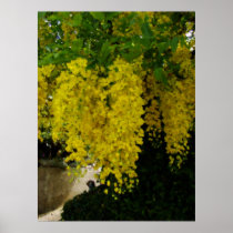 goldener Duschen-Blumen-Kunstdruck