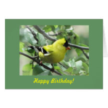 Goldfinch-Geburtstag Grußkarte