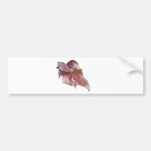 Goldfisch glitzert in der Sonne Auto Sticker