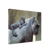 Gorilla-Liebe-Mamma und Baby