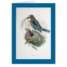 Gould - birmanische Rolle Karte