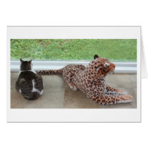 Gracey und fauler Leopard Grußkarten