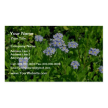 Grand myosotis de lavande (Myosotis Scorpioides Cartes De Visite Personnelles