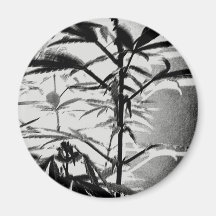 gras magnete