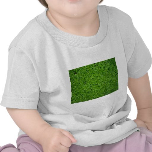 Gras Shirts