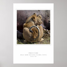 Gratitude Posters
