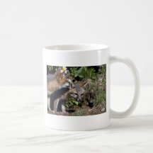 Graue Fuchs-junge Ausrüstungen Kaffeetasse