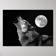 Grauer Wolf-u. Mond-Plakat-Druck