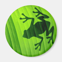 Grenouille Verte Magnets Pour Réfrigérateur