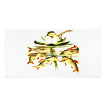 Grenouille vintage cartes avec photo