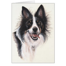 Grenzcollie gemalt in der Wasserfarbe Grußkarten