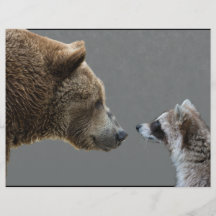 Grizzle Bär trifft Waschbären Flyer