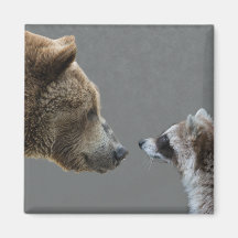 Grizzle Bär trifft Waschbären Kühlschrankmagnet