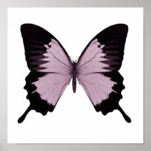 Großer rosa u. schwarzer Schmetterling - personifi Posterdrucke