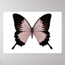 Großer roter u. schwarzer Schmetterling Plakatdruck