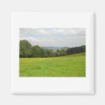 Grüne Wiese. Landschaftslandschaft Magnete