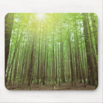 Grüner Wald Mousepad