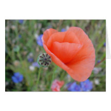 Grusskarte Mohnblumenherz, blanko, gestaltbar
