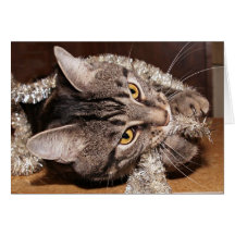 Guirlande de chat tigré et de Noël Cartes De Vœux