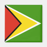 Guyana-Qualitäts-Flagge Kühlschrankmagnete
