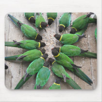 Hafen-Lincoln-Papageien-Australien-Mausunterlage Mousepads